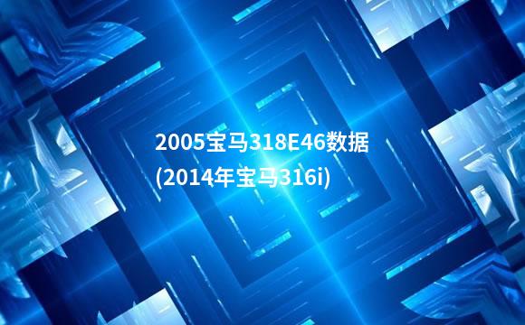 2005宝马318E46数据(2014年宝马316i)
