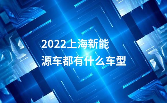 2022上海新能源车都有什么车型