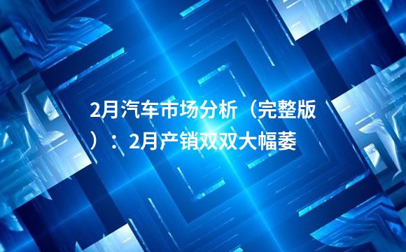 2月汽车市场分析（完整版）：2月产销双双大幅萎