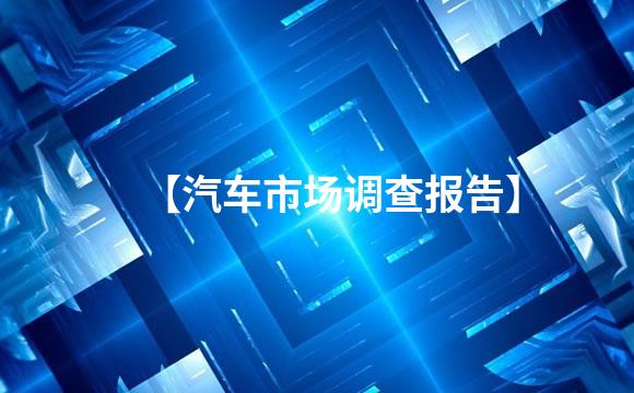 【汽车市场调查报告】
