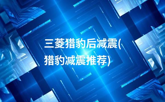 三菱猎豹后减震(猎豹减震推荐)