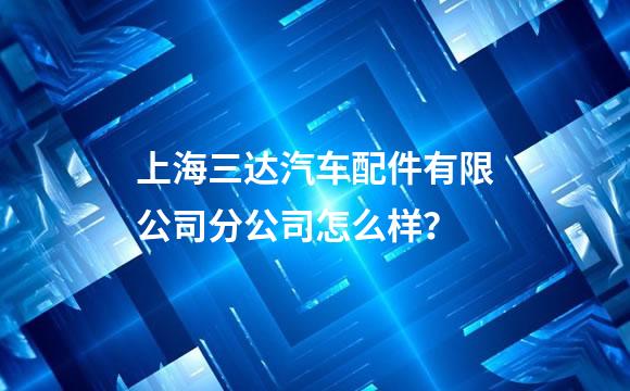 上海三达汽车配件有限公司分公司怎么样？
