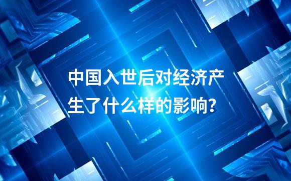 中国入世后对经济产生了什么样的影响？
