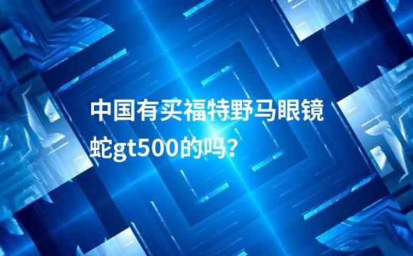 中国有买福特野马眼镜蛇gt500的吗？