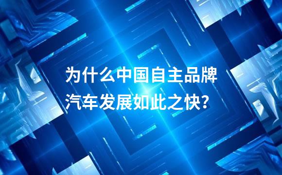为什么中国自主品牌汽车发展如此之快？
