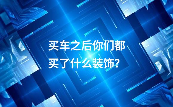 买车之后你们都买了什么装饰？