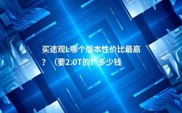 买途观L哪个版本性价比最高？（要2.0T的）多少钱