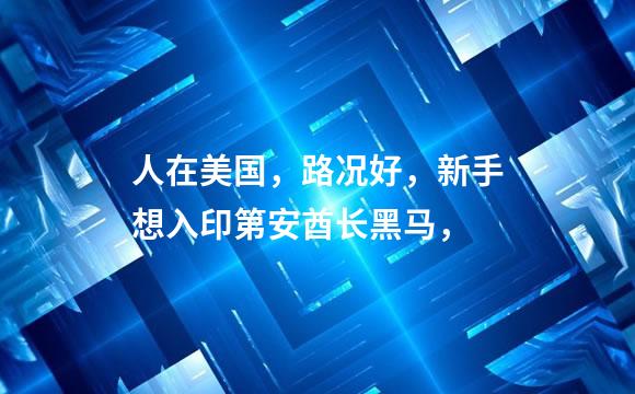 人在美国，路况好，新手想入印第安酋长黑马，
