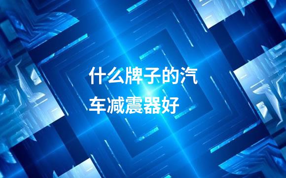 什么牌子的汽车减震器好
