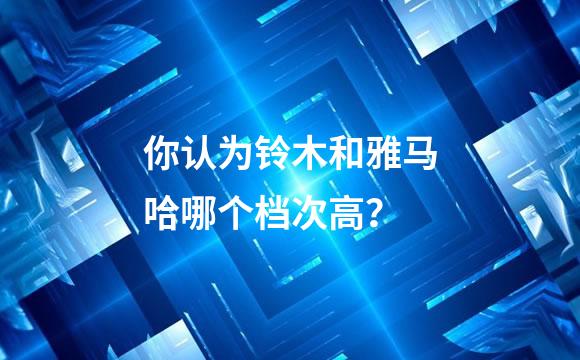 你认为铃木和雅马哈哪个档次高？