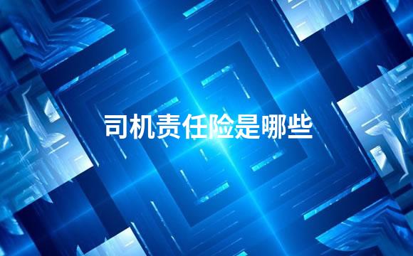 司机责任险是哪些