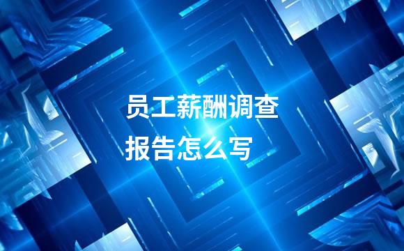 员工薪酬调查报告怎么写