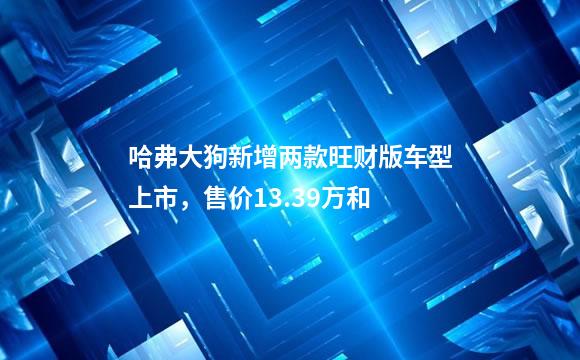 哈弗大狗新增两款旺财版车型上市，售价13.39万和