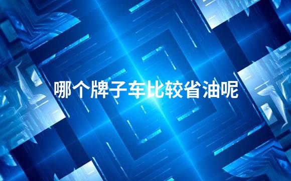 哪个牌子车比较省油呢