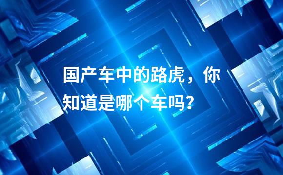 国产车中的路虎，你知道是哪个车吗？