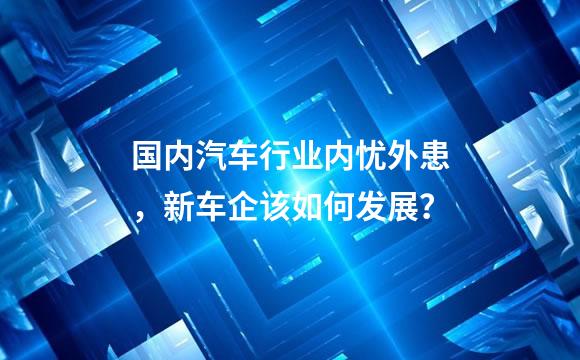 国内汽车行业内忧外患，新车企该如何发展？
