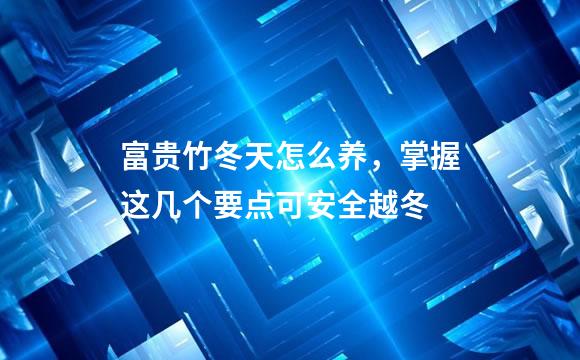 富贵竹冬天怎么养，掌握这几个要点可安全越冬