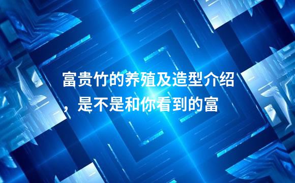 富贵竹的养殖及造型介绍，是不是和你看到的富