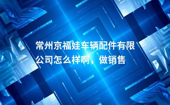 常州京福娃车辆配件有限公司怎么样啊，做销售