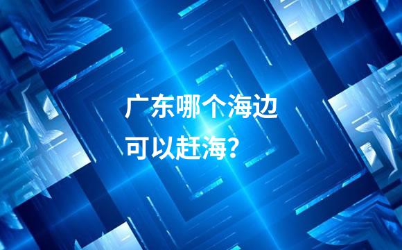 广东哪个海边可以赶海？