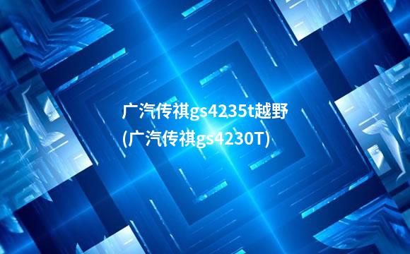广汽传祺gs4235t越野(广汽传祺gs4230T)