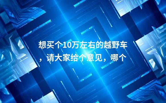 想买个10万左右的越野车，请大家给个意见，哪个