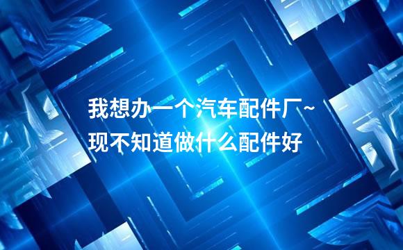 我想办一个汽车配件厂~现不知道做什么配件好