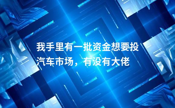 我手里有一批资金想要投汽车市场，有没有大佬