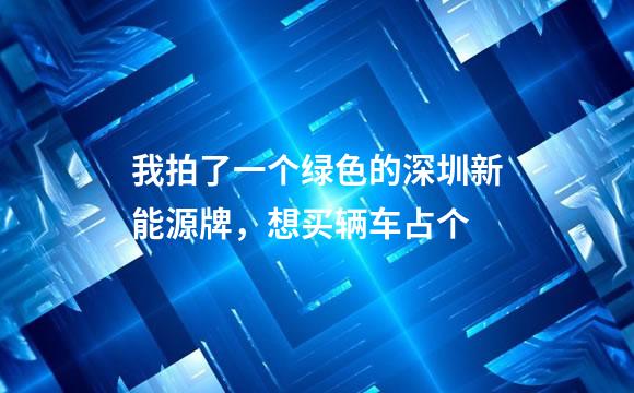我拍了一个绿色的深圳新能源牌，想买辆车占个