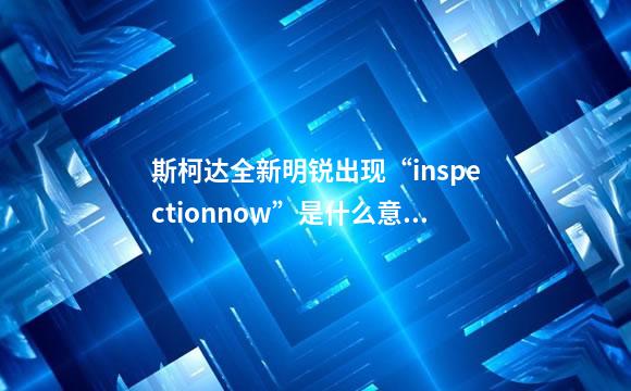 斯柯达全新明锐出现“inspectionnow”是什么意思？