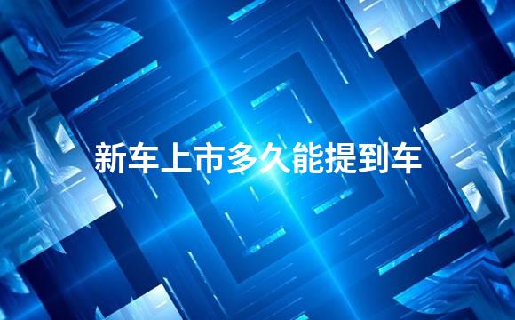 新车上市多久能提到车