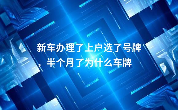 新车办理了上户选了号牌，半个月了为什么车牌