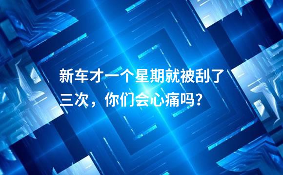新车才一个星期就被刮了三次，你们会心痛吗？