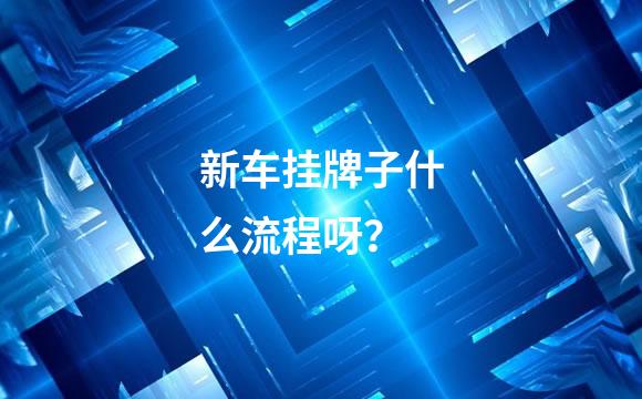 新车挂牌子什么流程呀？
