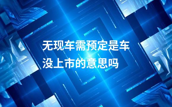 无现车需预定是车没上市的意思吗