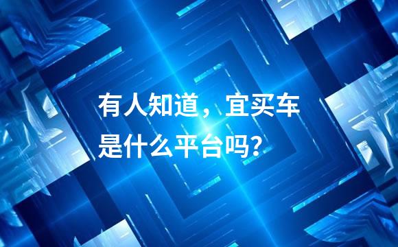 有人知道，宜买车是什么平台吗？