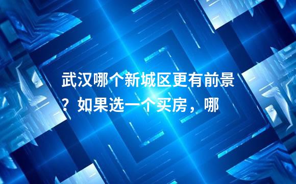 武汉哪个新城区更有前景？如果选一个买房，哪