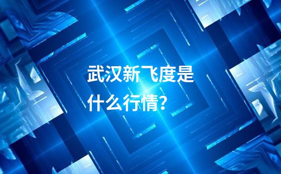 武汉新飞度是什么行情？