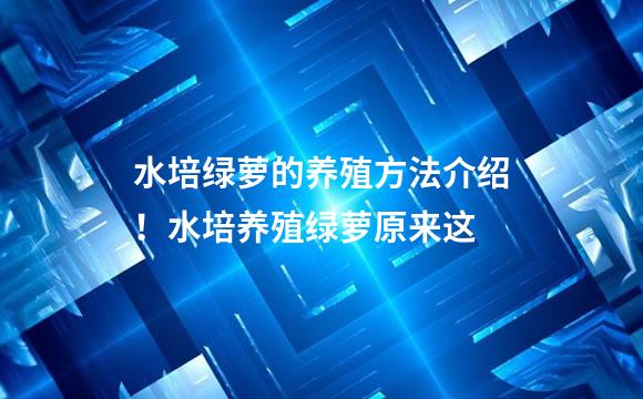 水培绿萝的养殖方法介绍！水培养殖绿萝原来这