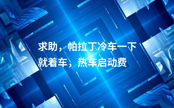 求助，帕拉丁冷车一下就着车，热车启动费