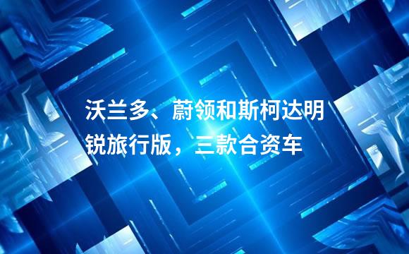 沃兰多、蔚领和斯柯达明锐旅行版，三款合资车