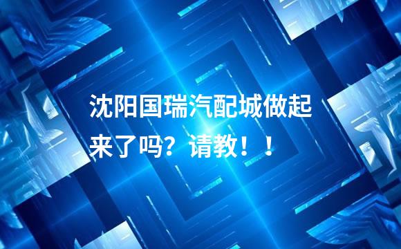 沈阳国瑞汽配城做起来了吗？请教！！