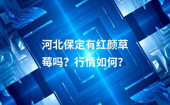 河北保定有红颜草莓吗？行情如何？