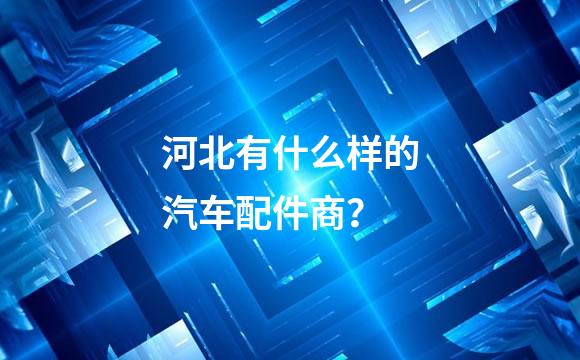 河北有什么样的汽车配件商？