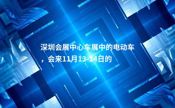 深圳会展中心车展中的电动车，会来11月13-14日的