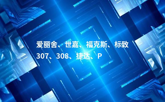 爱丽舍、世嘉、福克斯、标致307、308、捷达、P