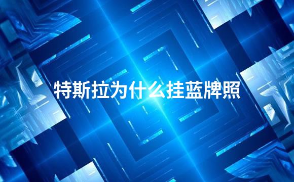 特斯拉为什么挂蓝牌照