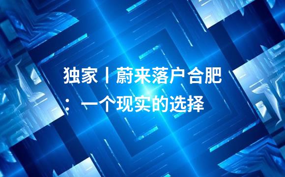独家丨蔚来落户合肥：一个现实的选择
