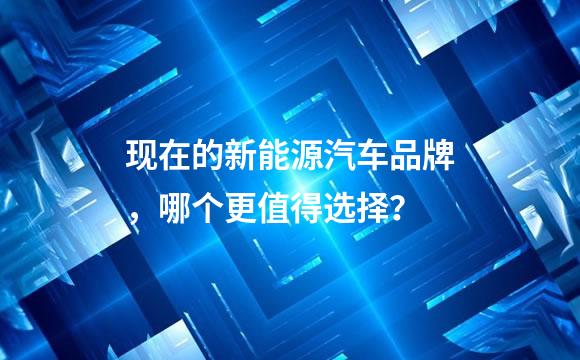 现在的新能源汽车品牌，哪个更值得选择？