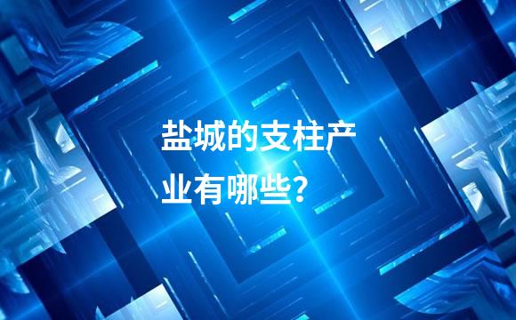 盐城的支柱产业有哪些？